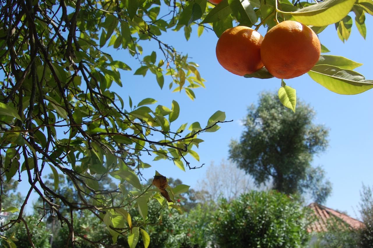 לינה וארוחת בוקר שטובל Prana Nature מראה חיצוני תמונה